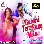Babuni Tere Rang Mein (Pawan Singh) Video Song 
