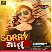 Jaanu Mere Mummy Papa Ko Pasand Nahi Ho Sorry Babu Mp3 Song