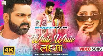White White Lahanga Mera Karna Chahe Lal Re Dalne Na Dungi Tu Ja Re Full HD Video Song
