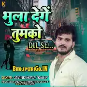 Bhula Denge Tumko Dil Se Mp3 Song